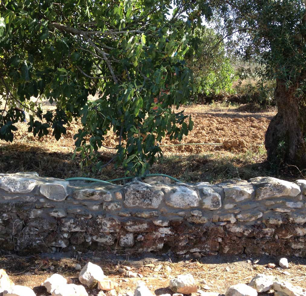 Muro