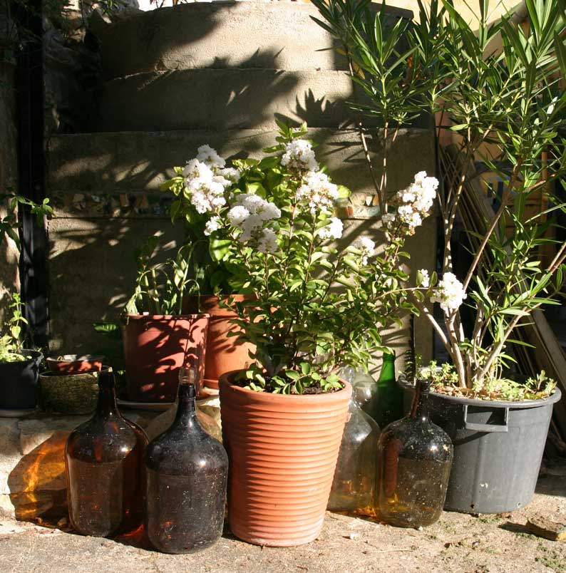 Vaso e garafões