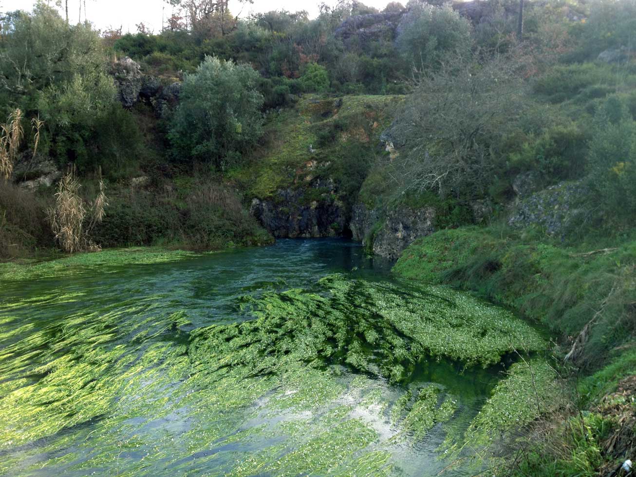 Fonte Formigais