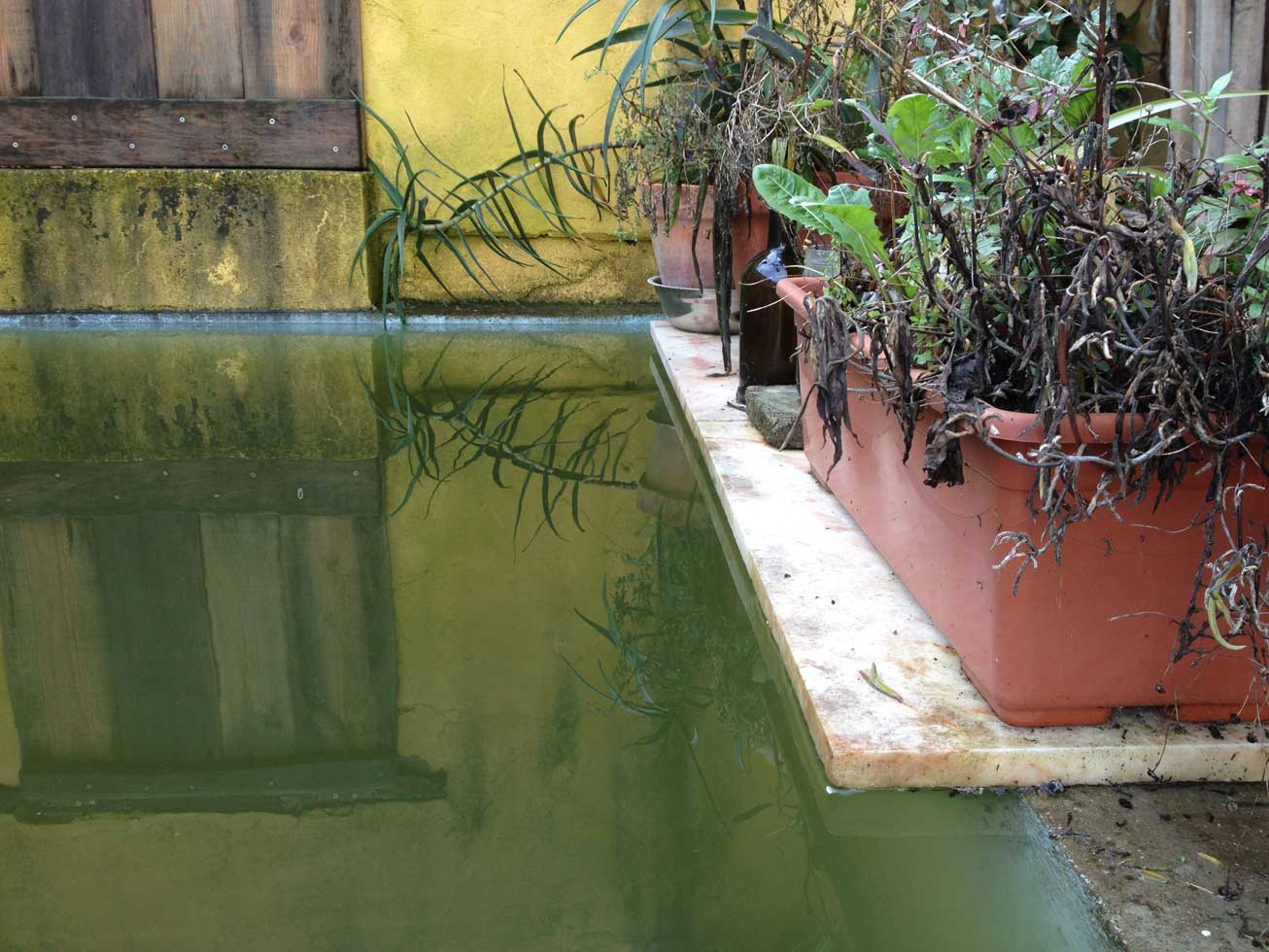 Agua de chuva