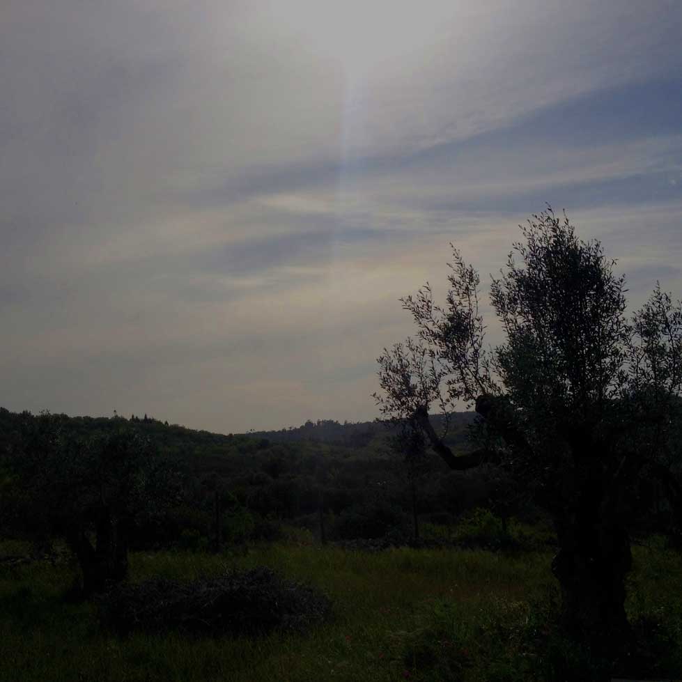 paisagem