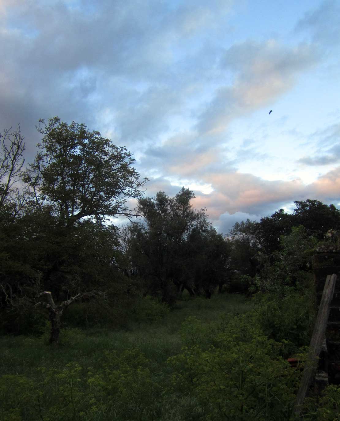 Nuvens