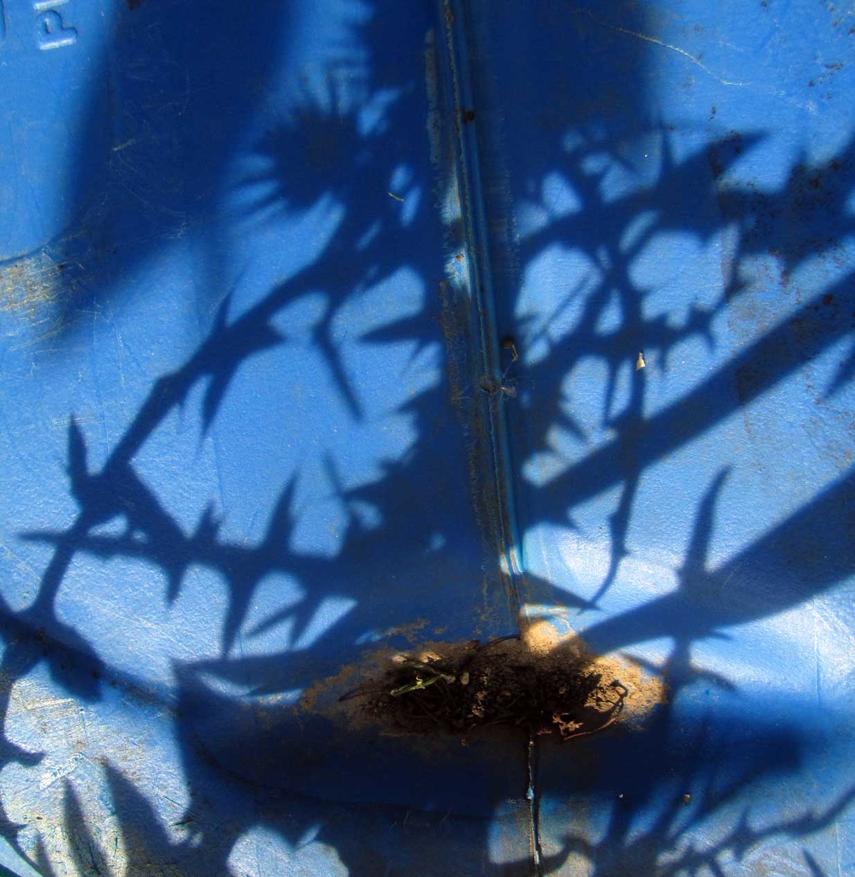 Abstracto