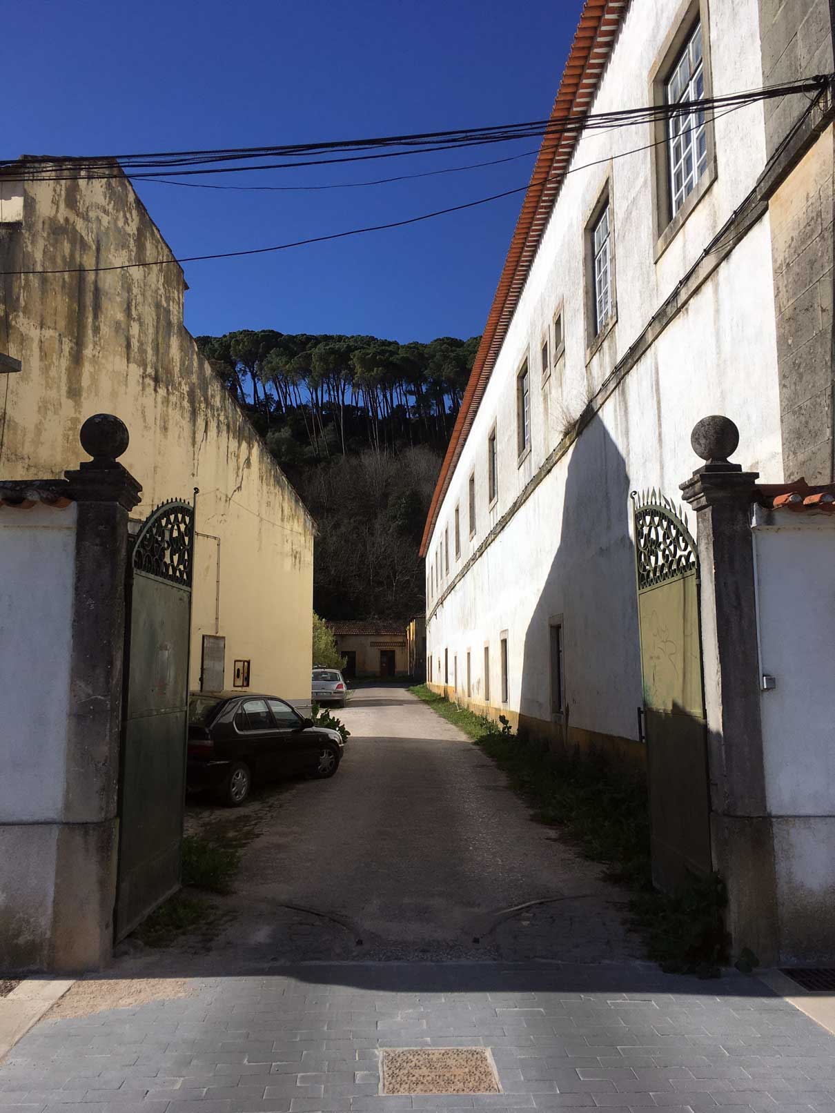 Rua