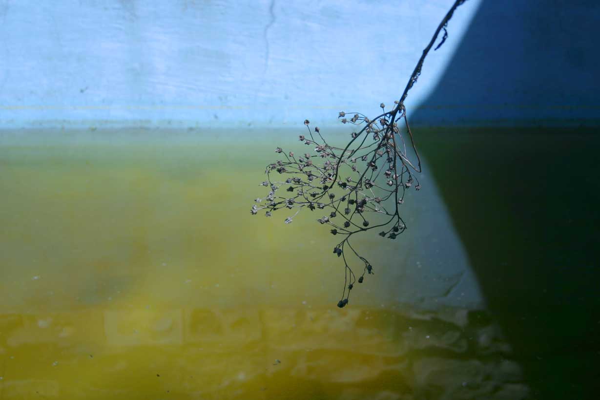 Agua