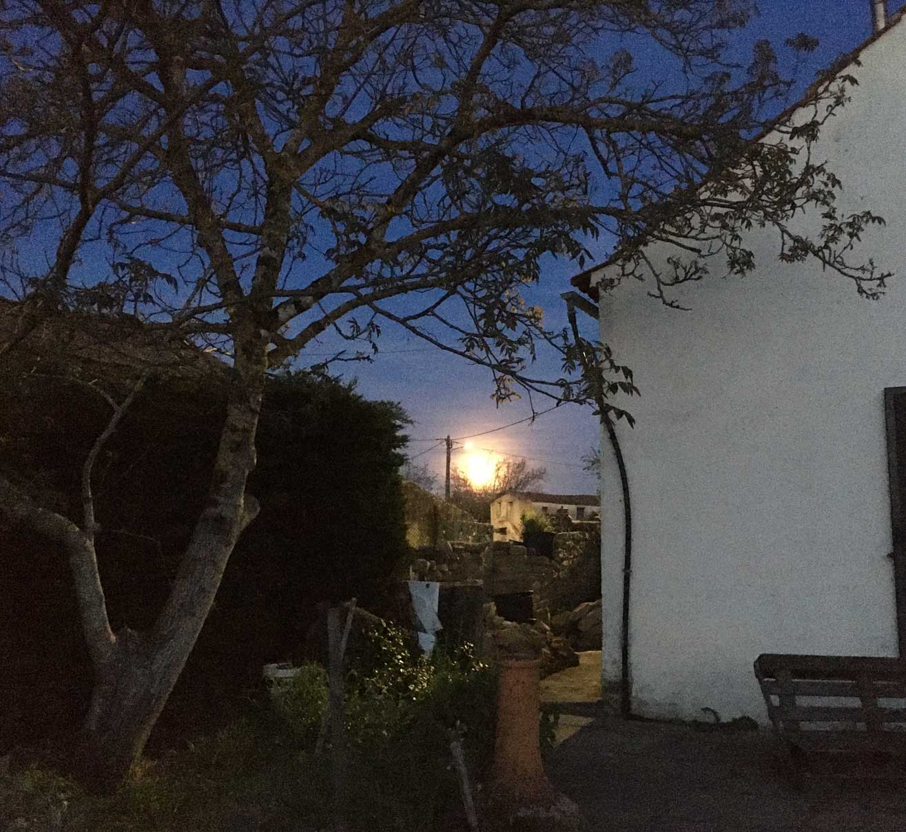 Lua